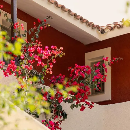 Lejlighedshotel Villehardouin Farm Estate, & Apartments, Minia, Kefalonia 4*