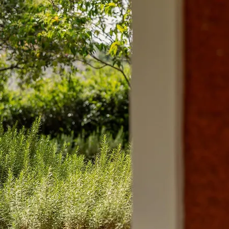 Villehardouin Farm Estate, & Apartments, Minia, Kefalonia 4* Argosztóli